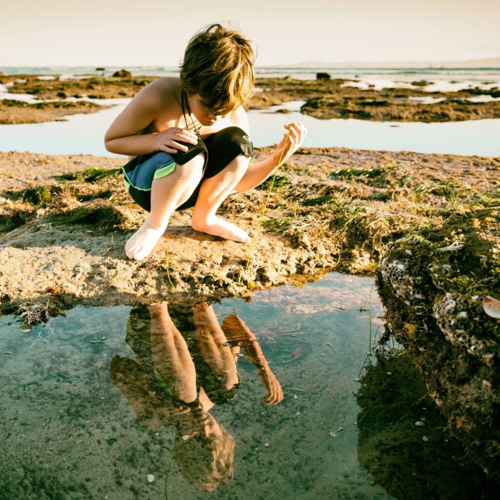 young boy exploring a tide pool on the beach